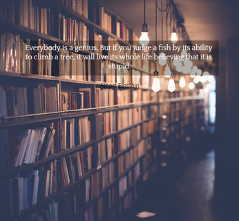 everybody is a genius but if you judge a fish by its ability to climb a tree it will...
