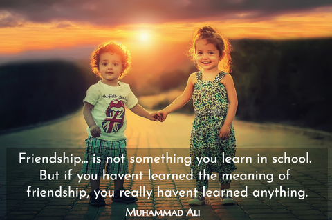 friendship is not something you learn in school but if you havent learned the meaning...