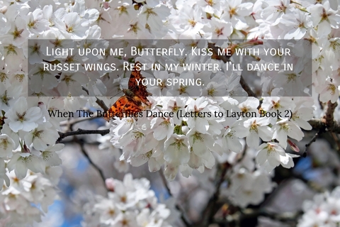 light upon me butterfly kiss me with your russet wings rest in my winter ill dance...
