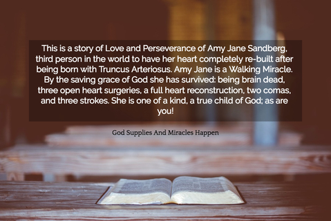 this is a story of love and perseverance of amy jane sandberg third person in the world...