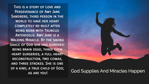 this is a story of love and perseverance of amy jane sandberg third person in the world...