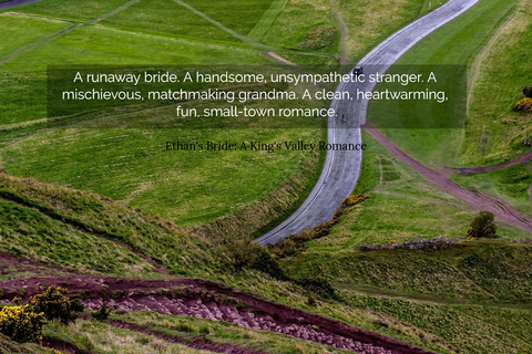 a runaway bride a handsome unsympathetic stranger a mischievous matchmaking grandma...