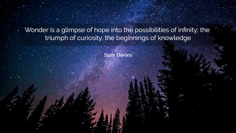 wonder is a glimpse of hope into the possibilities of infinity the triumph of curiosity...