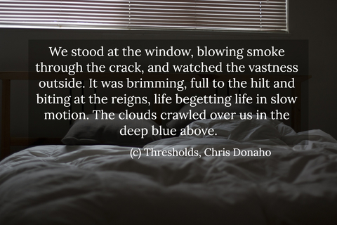 we stood at the window blowing smoke through the crack and watched the vastness outside...
