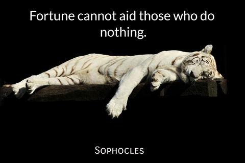 fortune cannot aid those who do nothing...