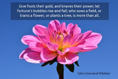 give fools their gold and knaves their power let fortunes bubbles rise and fall who...