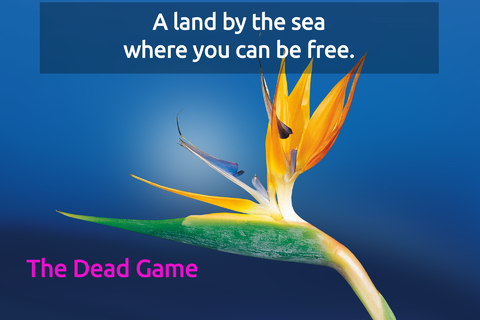bodies wash ashore bloody footsteps in the sand...