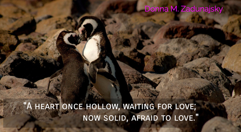 a heart once hollow waiting for love now solid afraid to love...
