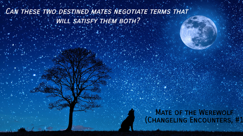 can these two destined mates negotiate terms that will satisfy them both...
