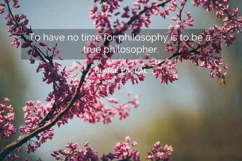 to have no time for philosophy is to be a true philosopher...
