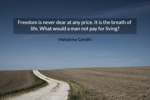 freedom is never dear at any price it is the breath of life what would a man not pay...