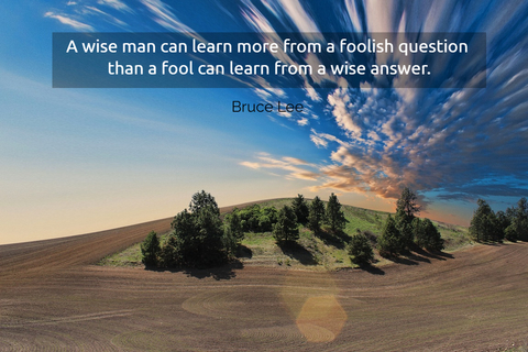 a wise man can learn more from a foolish question than a fool can learn from a wise...
