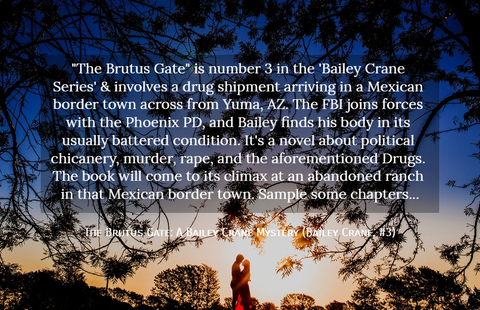 the brutus gate is number 3 in the bailey crane series involves a drug shipment...
