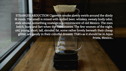 stranger abduction cigarette smoke slowly swirls around the dimly lit room the smell is...