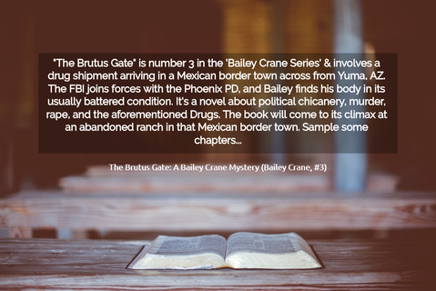 the brutus gate is number 3 in the bailey crane series involves a drug shipment...