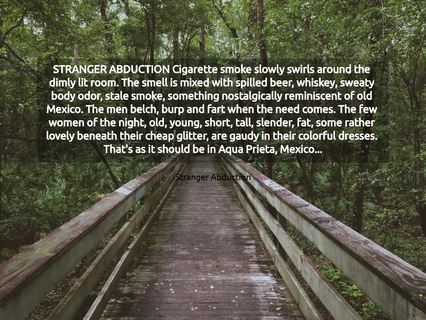 stranger abduction cigarette smoke slowly swirls around the dimly lit room the smell is...