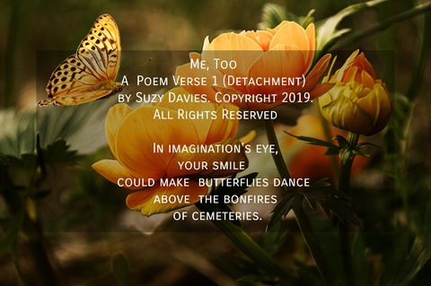me too poem detachment in imaginations eye your smile could make butterflies...