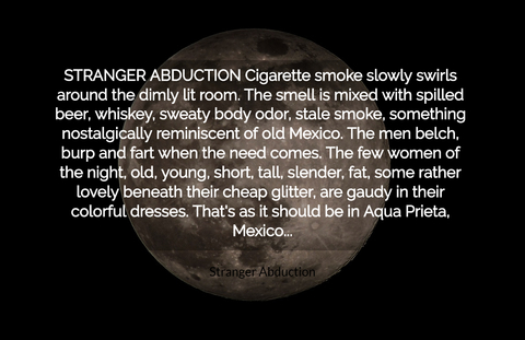 stranger abduction cigarette smoke slowly swirls around the dimly lit room the smell is...
