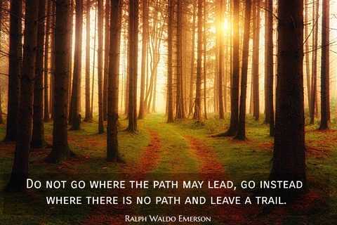 do not go where the path may lead go instead where there is no path and leave a trail...