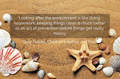 looking after the environment is like doing housework keeping things clean is much...