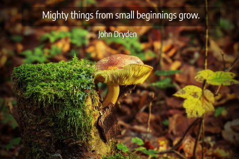 mighty things from small beginnings grow...