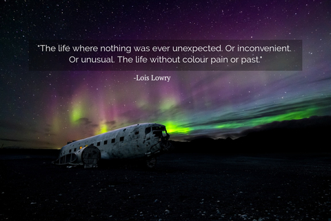the life where nothing was ever unexpected or inconvenient or unusual the life without...