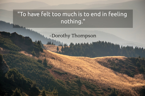 to have felt too much is to end in feeling nothing...