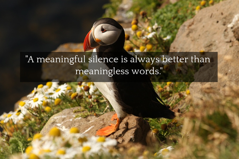 a meaningful silence is always better than meaningless words...