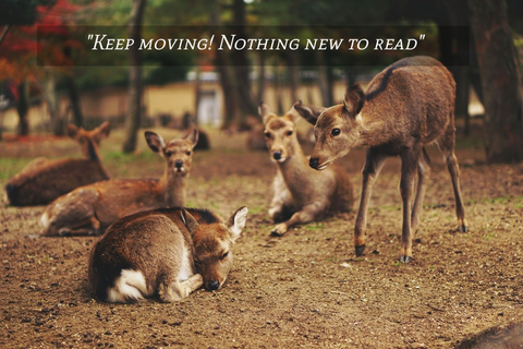 keep moving nothing new to read...