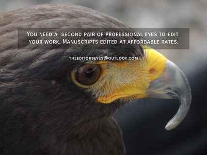 you need a second pair of professional eyes to edit your work manuscripts edited at...