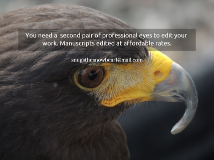 you need a second pair of professional eyes to edit your work manuscripts edited at...