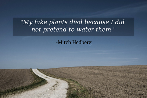 my fake plants died because i did not pretend to water them...