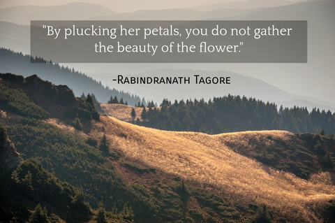 by plucking her petals you do not gather the beauty of the flower...