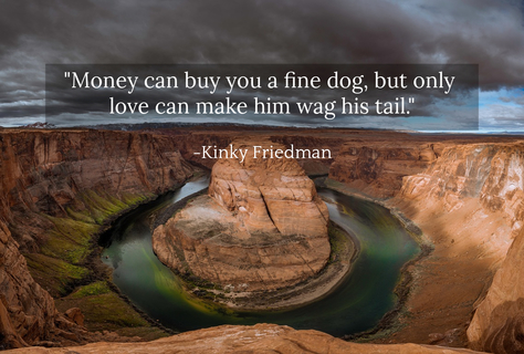 money can buy you a fine dog but only love can make him wag his tail...