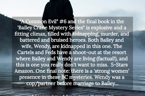 a common evil 6 and the final book in the bailey crane mystery series is...