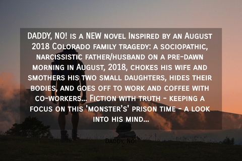 daddy no is a new novel inspired by an august 2018 colorado family tragedy a...