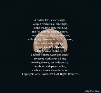 a curtain lifts a starry night winged creatures all take flight in the shadows...