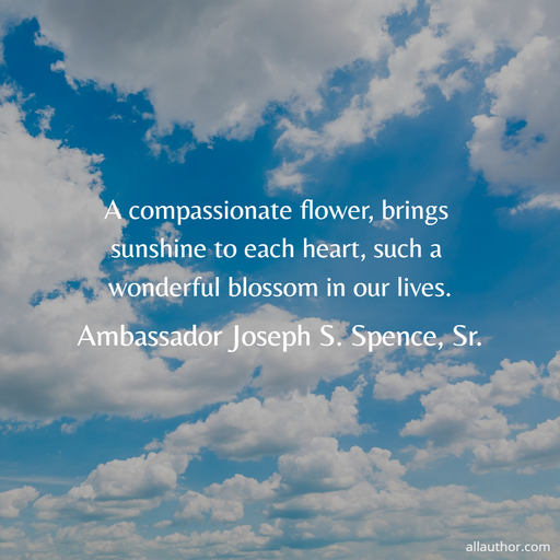 a compassionate flower brings sunshine to each heart such a wonderful blossom in our...