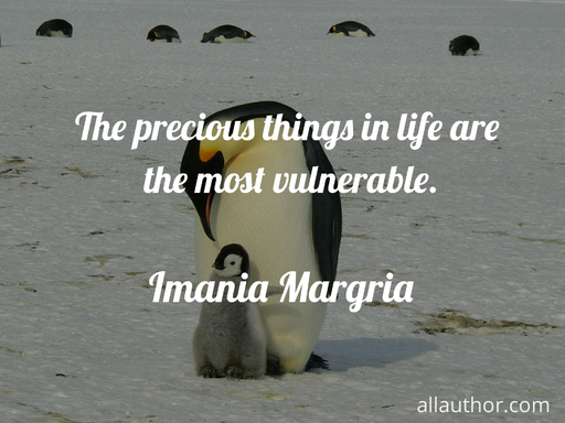 the precious things in life are the most vulnerable...