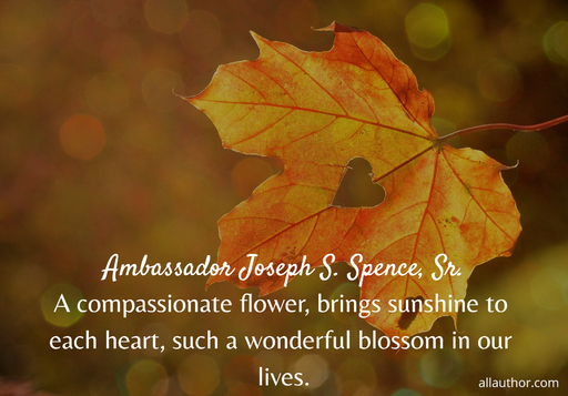 a compassionate flower brings sunshine to each heart such a wonderful blossom in our...