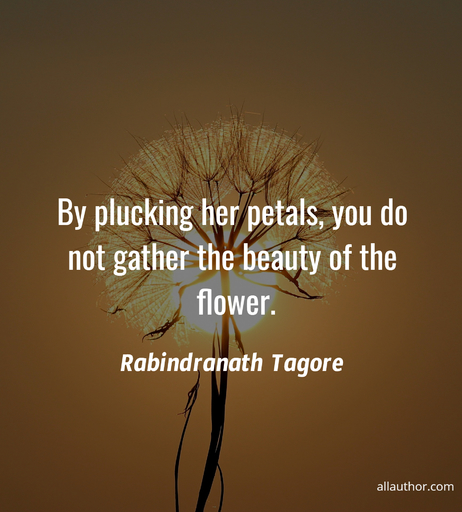 by plucking her petals you do not gather the beauty of the flower...