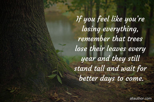 if you feel like youre losing everything remember that trees lose their leaves every...