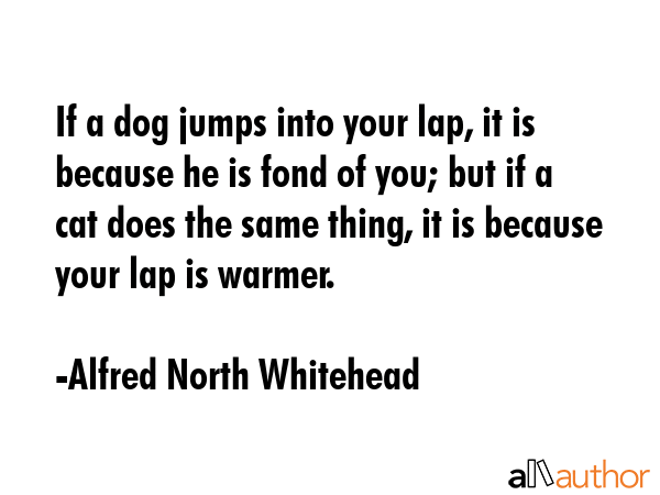 If a dog jumps into your lap, it is because he is fond of you; but if a cat does the same thing, it... - Alfred North Whitehead Quote GIF