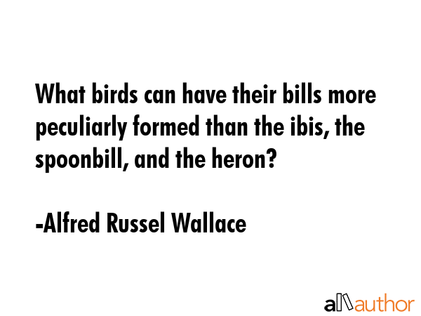 What birds can have their bills more peculiarly formed than the ibis, the spoonbill, and the heron? - Alfred Russel Wallace Quote GIF