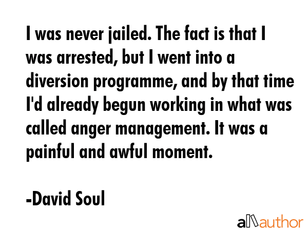 I was never jailed. The fact is that I was arrested, but I went into a diversion programme, and by... - David Soul Quote GIF