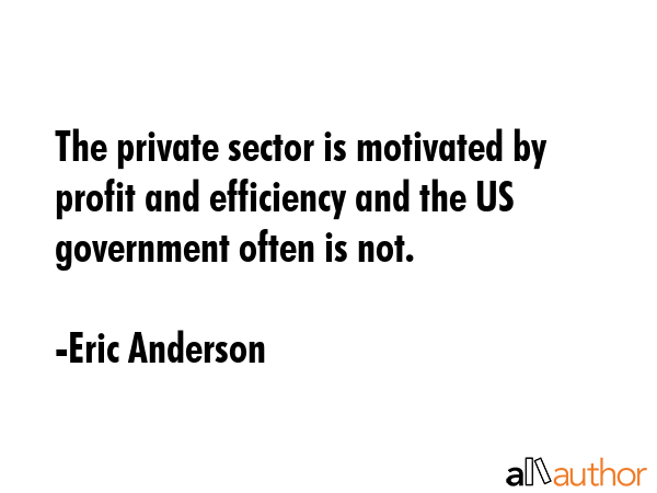 The private sector is motivated by profit and efficiency and the US government often is not. - Eric Anderson Quote GIF