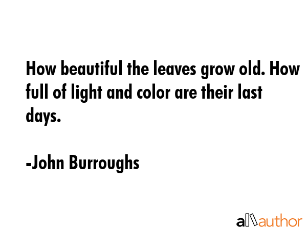 How beautiful the leaves grow old. How full of light and color are their last days. - John Burroughs Quote