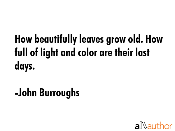 How beautifully leaves grow old. How full of light and color are their last days. - John Burroughs Quote