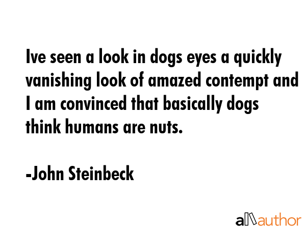 Ive seen a look in dogs eyes a quickly vanishing look of amazed contempt and I am convinced that... - John Steinbeck Quote GIF