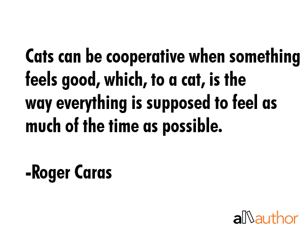 Cats can be cooperative when something feels good, which, to a cat, is the way everything is... - Roger Caras Quote GIF